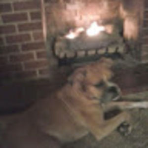 Meet your Posher, Tavye